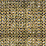 7804