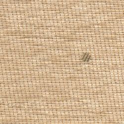 Tulip X beige K 629